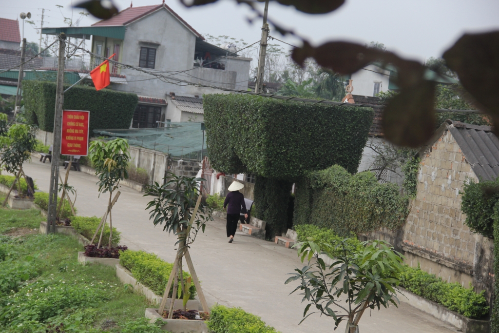 dep ngo ngang hang rao lam bang cay xanh gan 300 tuoi o ha tinh