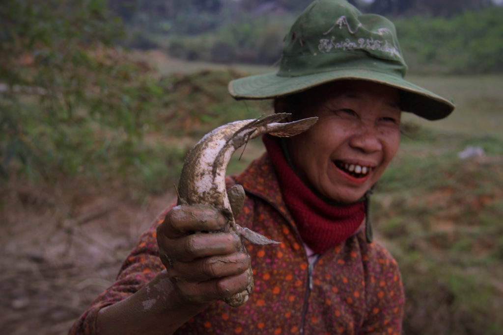 lanh thau xuong dan dam minh giua bun bat ca bang tay khong