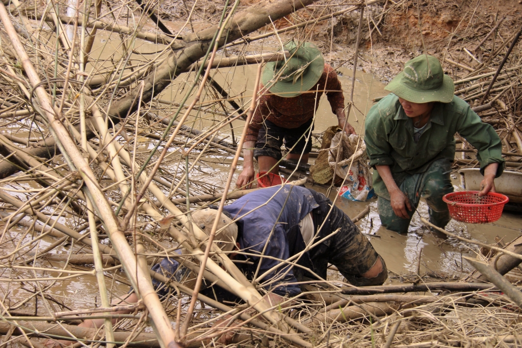 lanh thau xuong dan dam minh giua bun bat ca bang tay khong