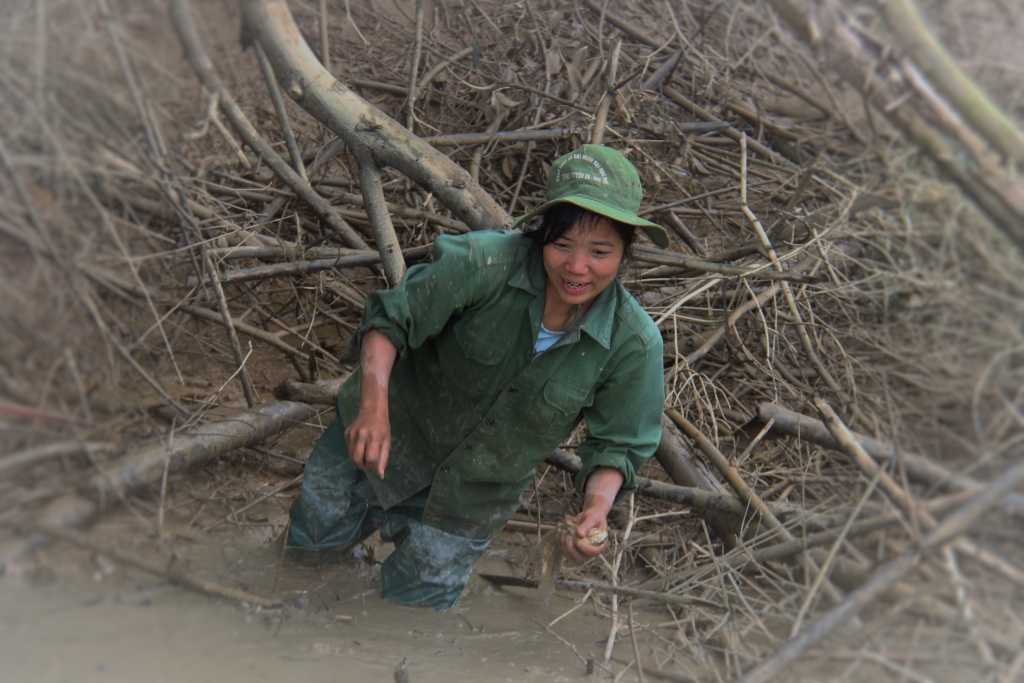 lanh thau xuong dan dam minh giua bun bat ca bang tay khong