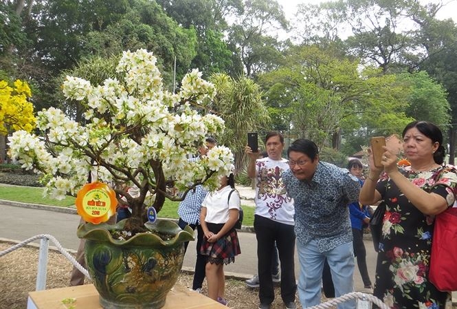 mung 3 tet ru nhau di ngam ky hoa di thao o sai gon