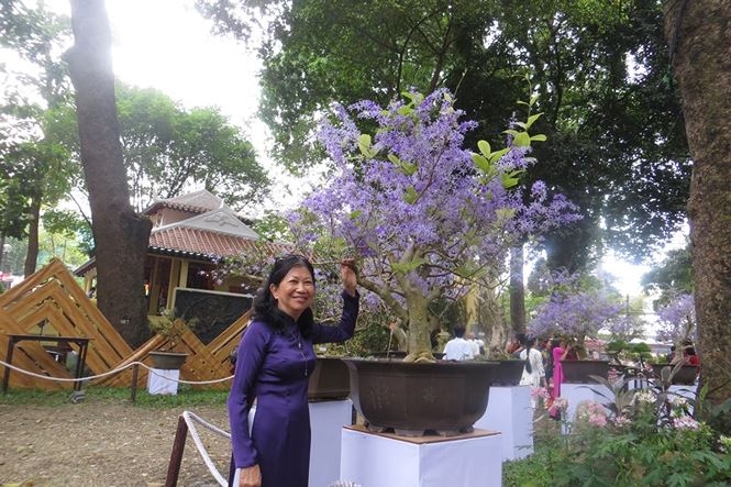 mung 3 tet ru nhau di ngam ky hoa di thao o sai gon