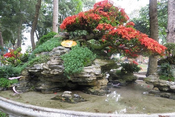 mung 3 tet ru nhau di ngam ky hoa di thao o sai gon