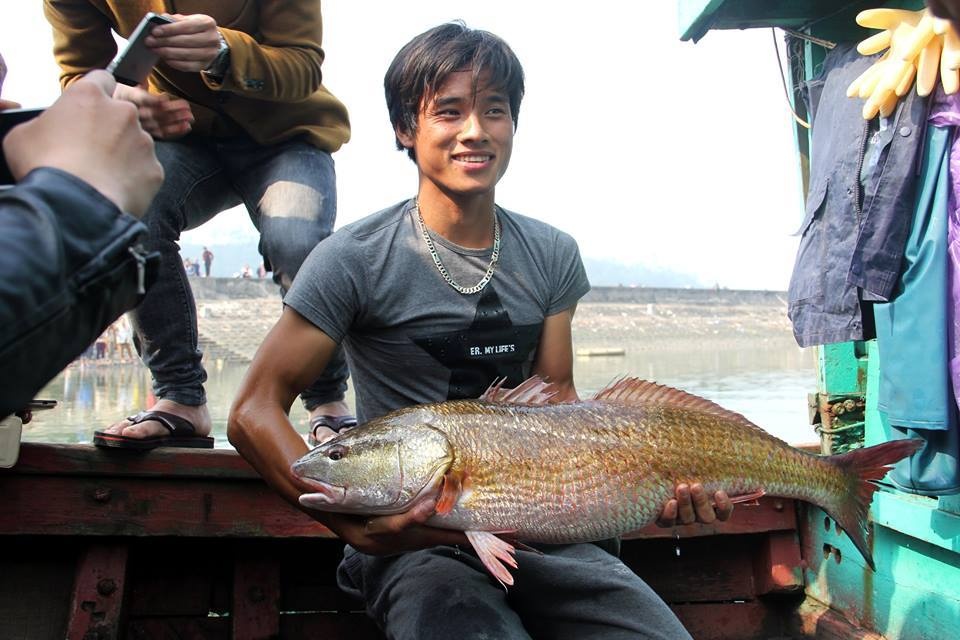 nghe an ca su duoc hoi mua gan 1 ty nay ban 15 trieu
