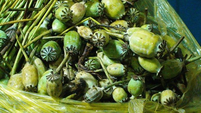 bat giu hai vu van chuyen thuoc phien tuoi tu lao ve viet nam tieu thu