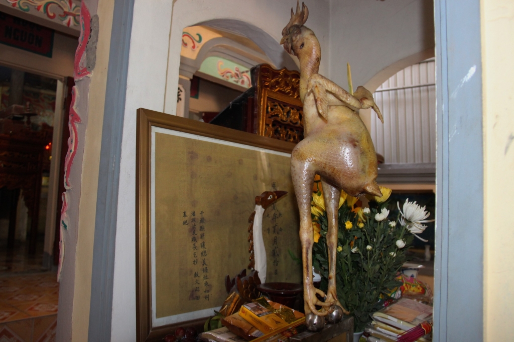 doc dao ga cuoi rua hoa phuong trong mam co ngay ram o ha tinh