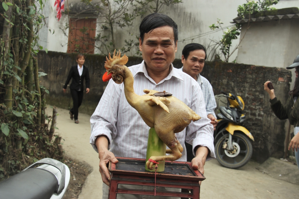 doc dao ga cuoi rua hoa phuong trong mam co ngay ram o ha tinh