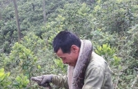 dua lon vao lo mo bi dich dan vay kin yeu cau lam ro