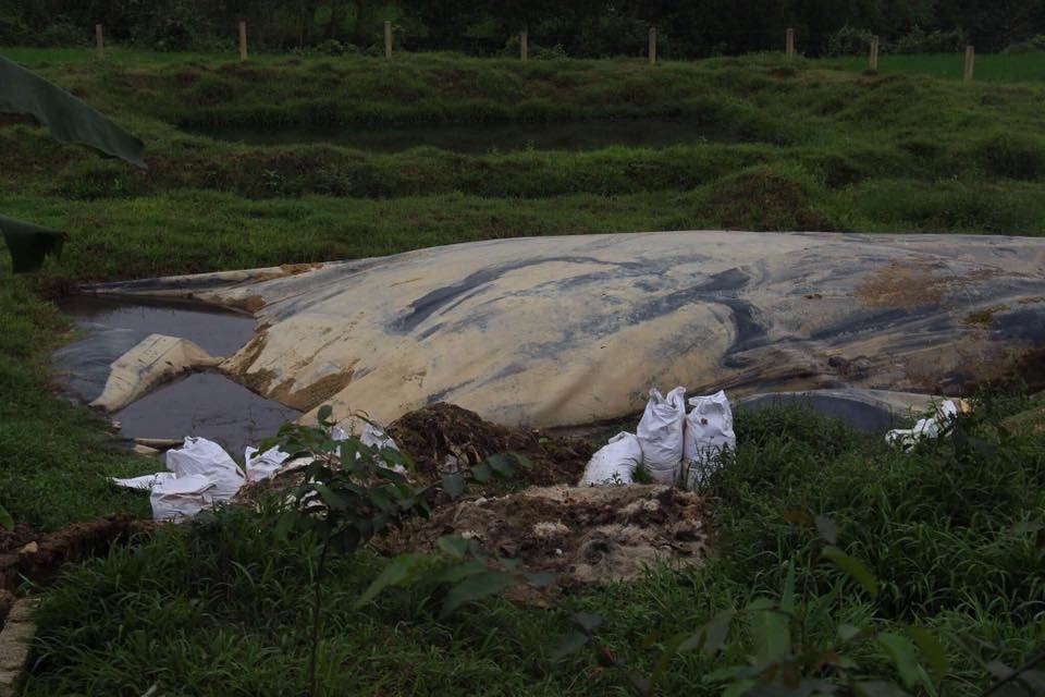 dua lon vao lo mo bi dich dan vay kin yeu cau lam ro