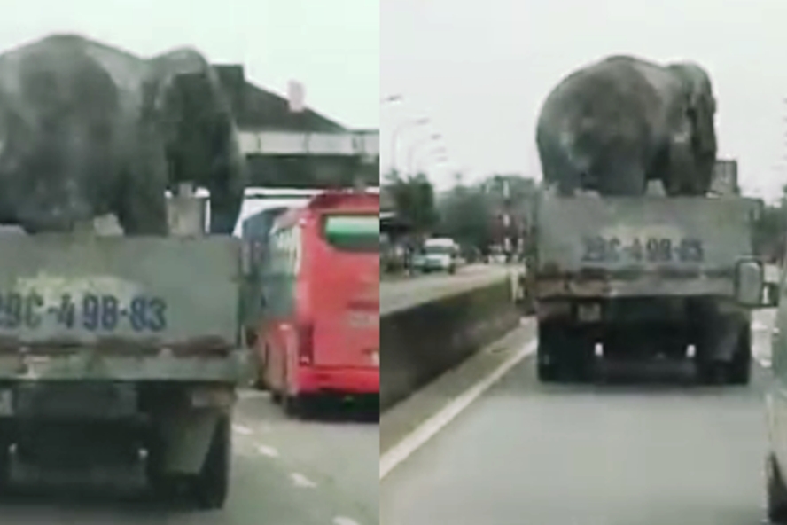 xon xao clip voi lam xiec tung tang tren quoc lo 1a