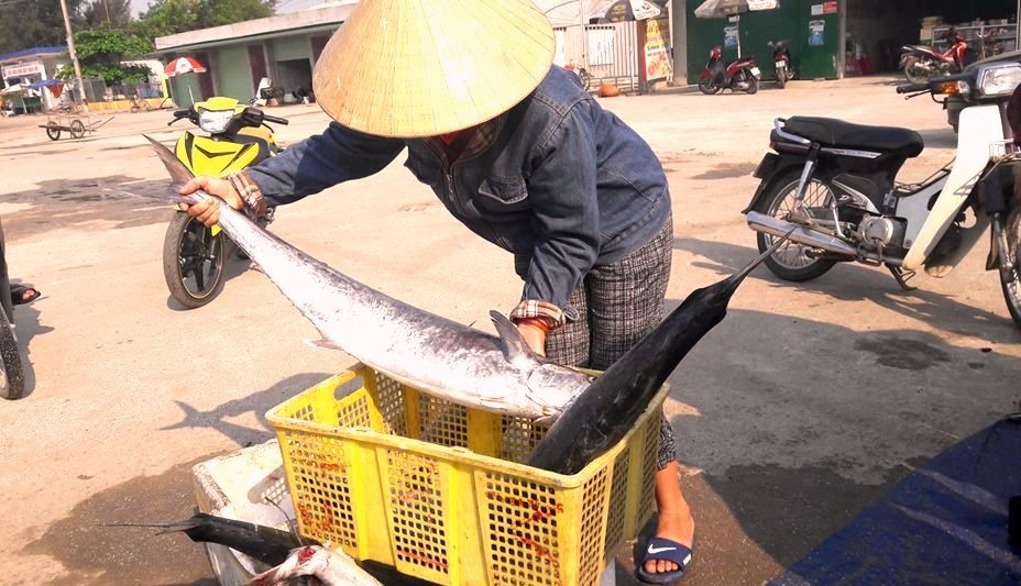 ha tinh ngu dan trung dam me ca thu dut tui gan 400 trieu dong