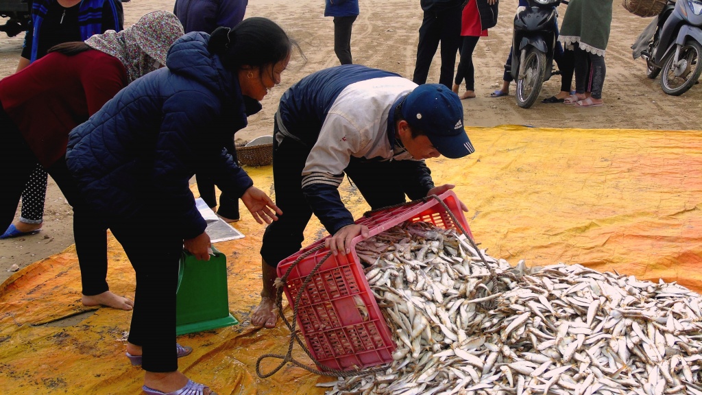 nhon nhip khung canh luc binh minh tai mot goc bien ha tinh