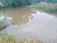 lien tuc cac vu duoi nuoc thuong tam xay ra trong dip he lam sao de phong tranh