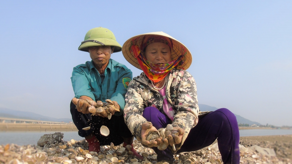 ngao bong nhien chet trang dan khoc than khi lam vao canh no nan