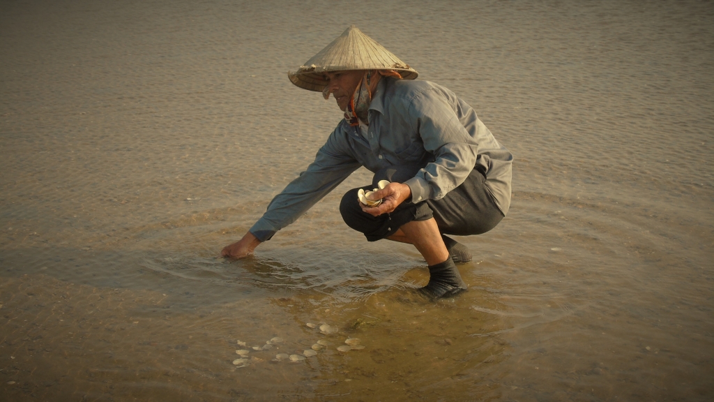 ngao bong nhien chet trang dan khoc than khi lam vao canh no nan