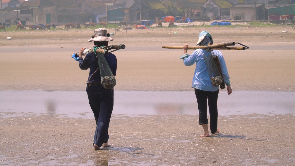 man chat muu sinh bang nghe di giat lui tren bien
