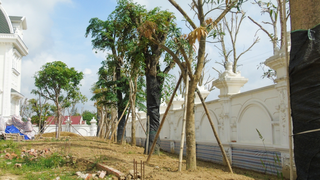 ben trong can biet thu khung cua cu ba ban rau gan 80 tuoi o ha tinh