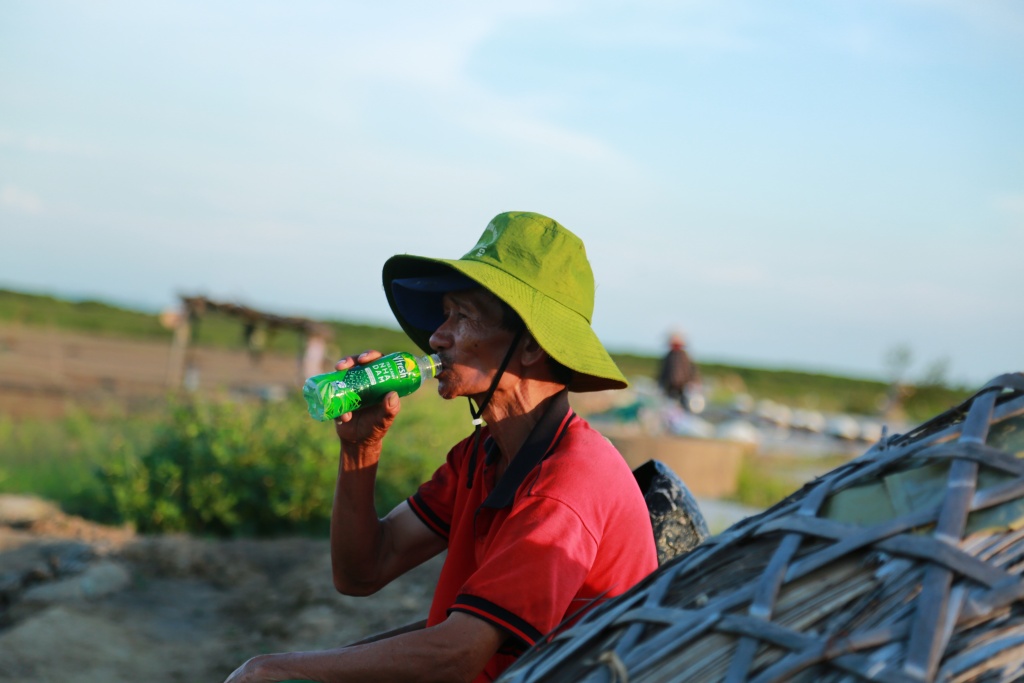 muoi rot gia diem dan ha tinh dong loat bo nai