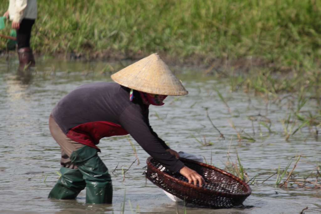 hang tram nguoi nhay xuong rao bat ca sau tieng hu cua ly truong