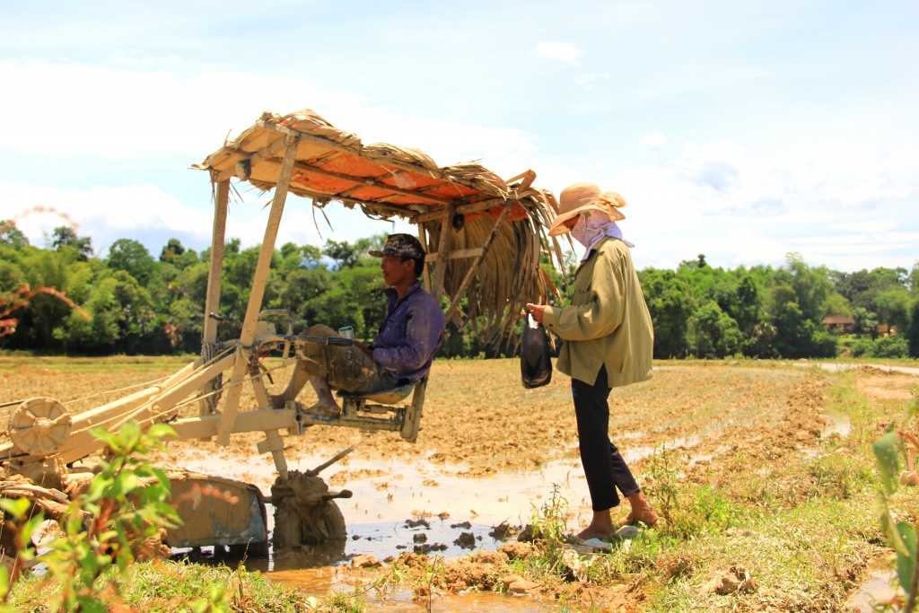 nong dan ha tinh vat lon ngay dem voi cai nang nhu thieu dot