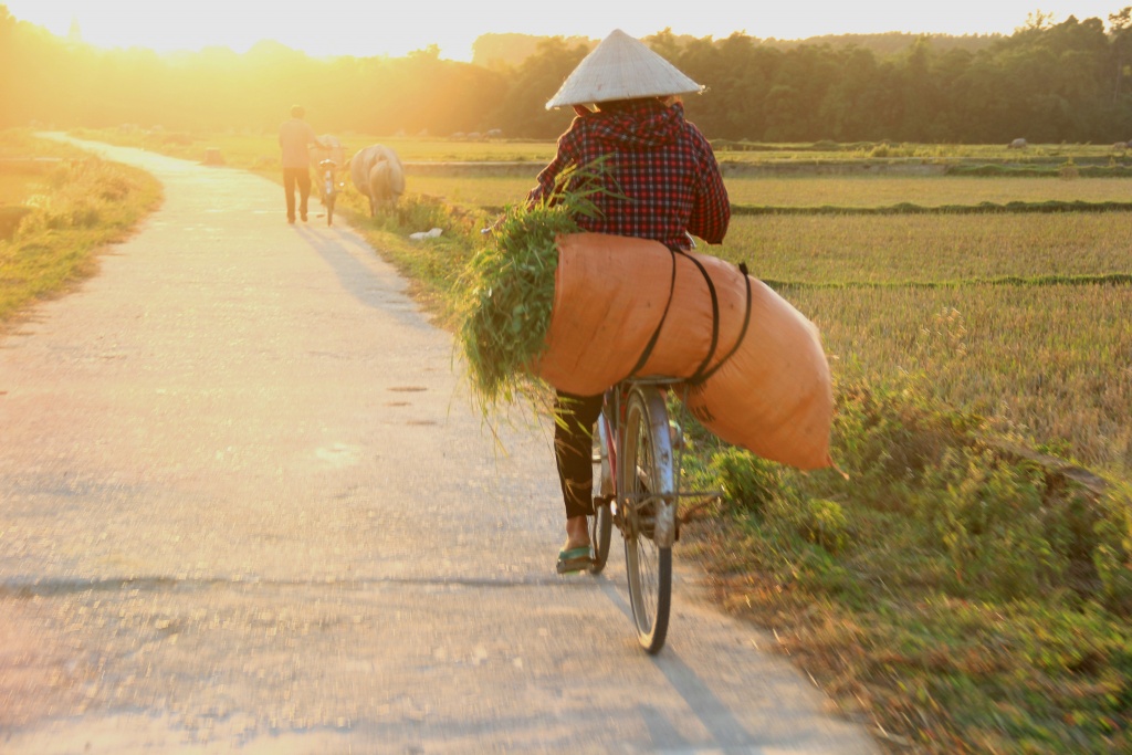 nong dan ha tinh vat lon ngay dem voi cai nang nhu thieu dot