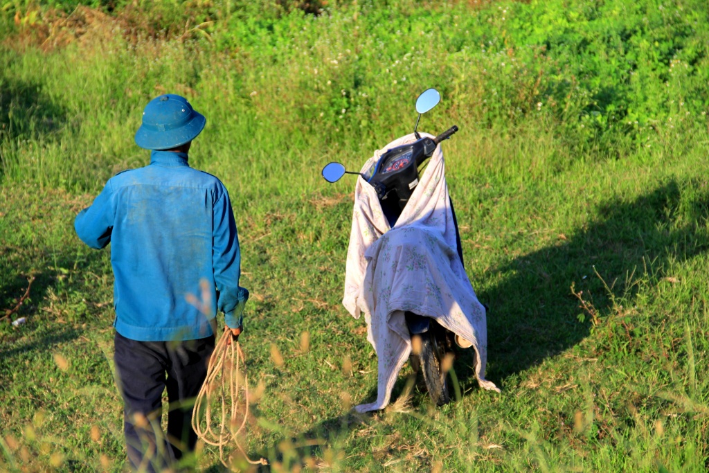 nong dan ha tinh vat lon ngay dem voi cai nang nhu thieu dot