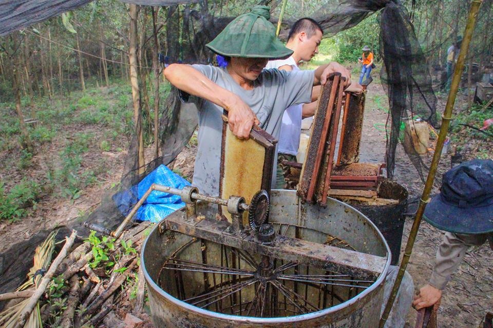 chuyen la lung o ha tinh bat ong nop le phi bao ve cho xa