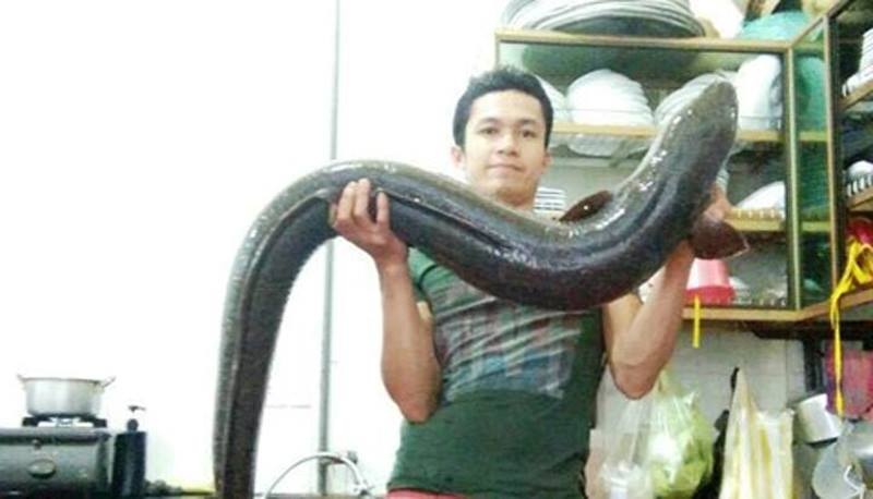 nghe an bat duoc ca lech khung nang 15kg dai gan 2 met
