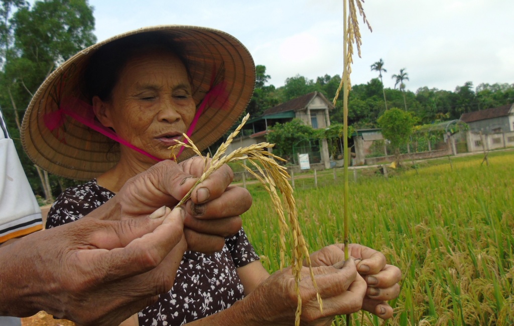 dan mat trang vu mua ha tinh de nghi trung uong ho tro giup dan