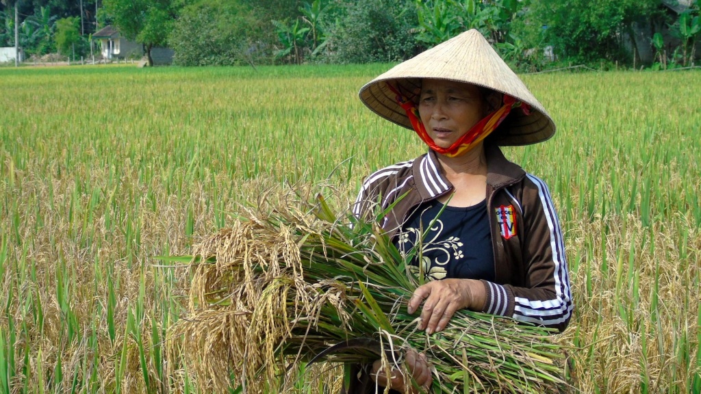 dan mat trang vu mua ha tinh de nghi trung uong ho tro giup dan