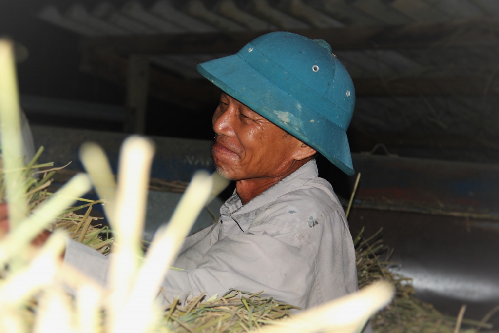 tranh nang nong dan ha tinh doi den gat lua xuyen dem