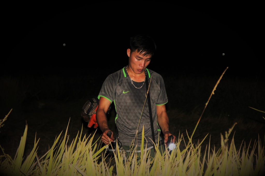 tranh nang nong dan ha tinh doi den gat lua xuyen dem