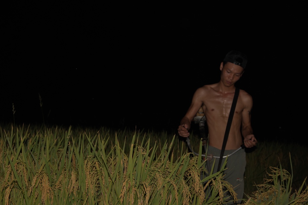 tranh nang nong dan ha tinh doi den gat lua xuyen dem
