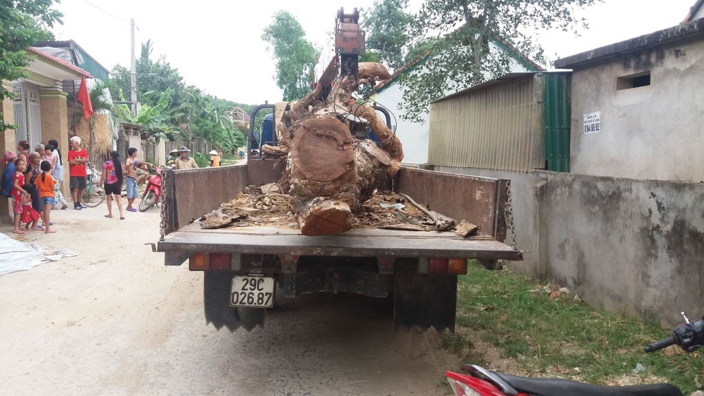 hai nguoi dan ong dua xe tai vao nha dan trom cay mit 40 trieu