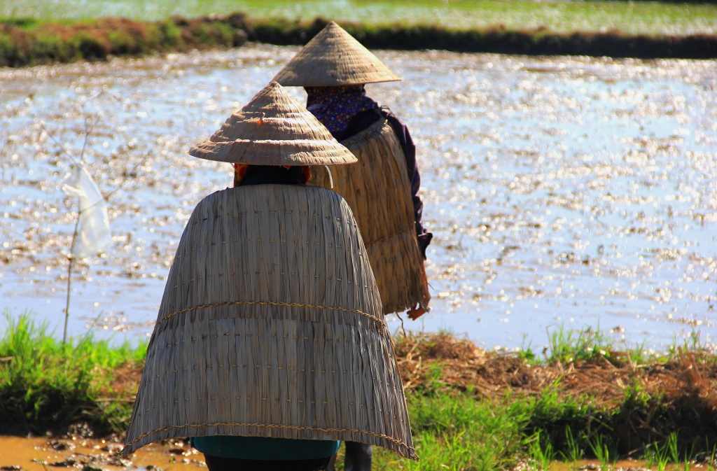 ve noi nong dan xem ao giap la la bao boi vang
