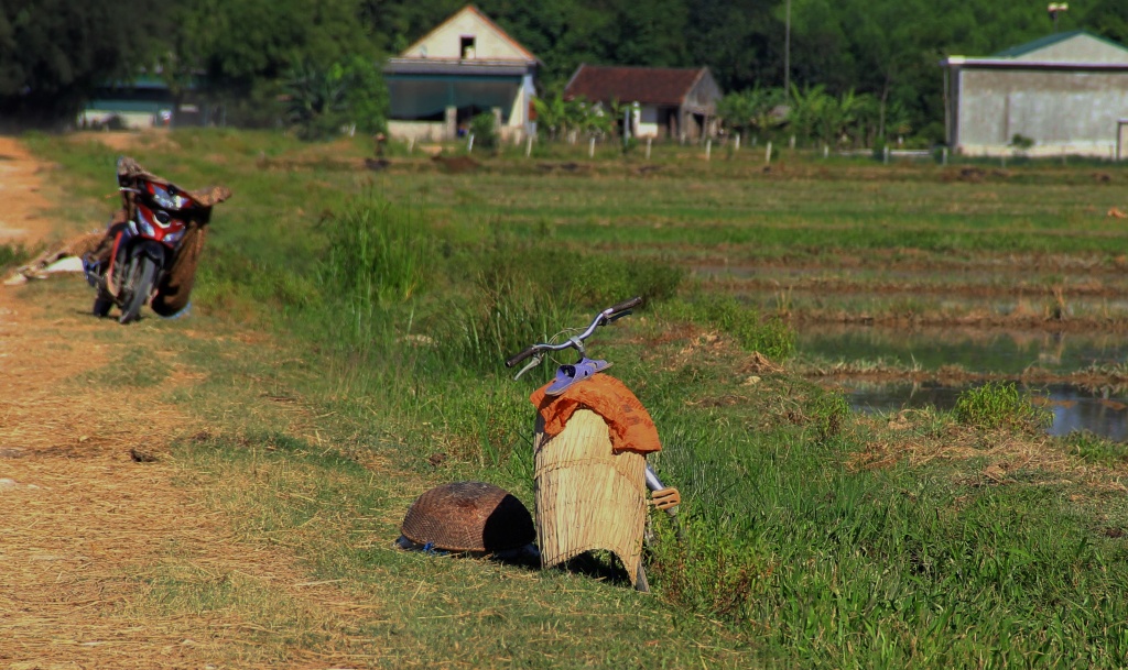 ve noi nong dan xem ao giap la la bao boi vang