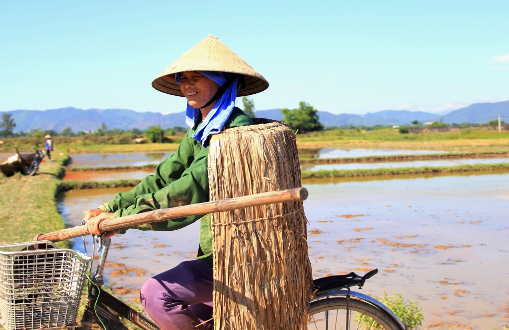 ve noi nong dan xem ao giap la la bao boi vang