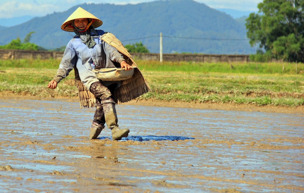 ve noi nong dan xem ao giap la la bao boi vang