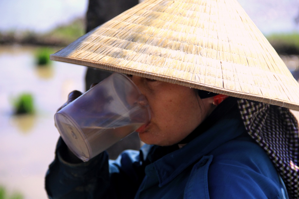 ve noi nong dan xem ao giap la la bao boi vang