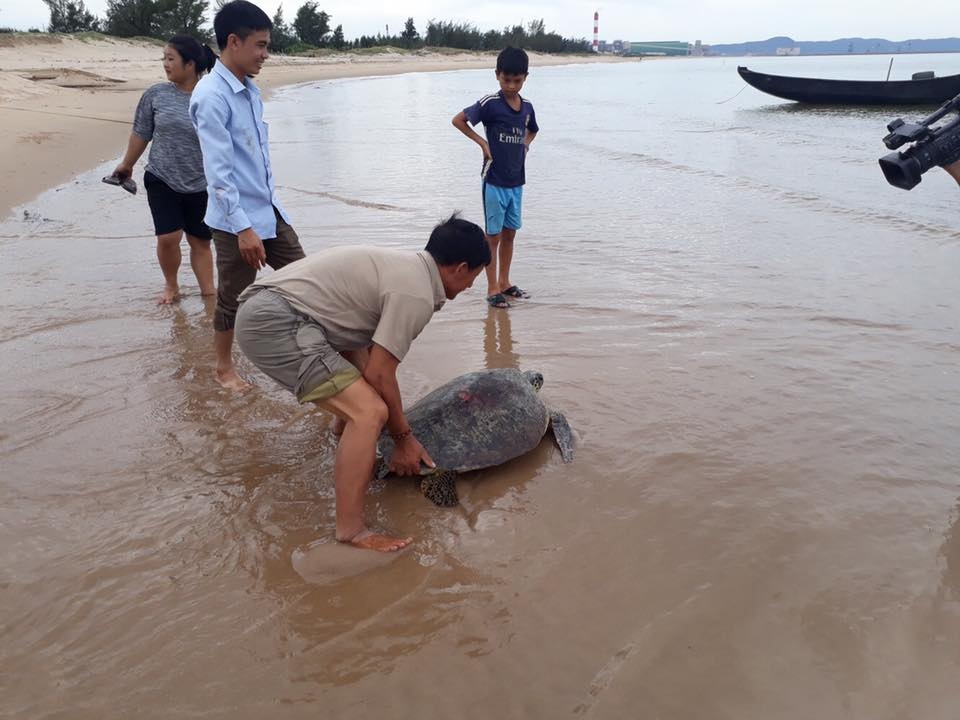 ngu dan tha rua nang gan 50kg ve dai duong