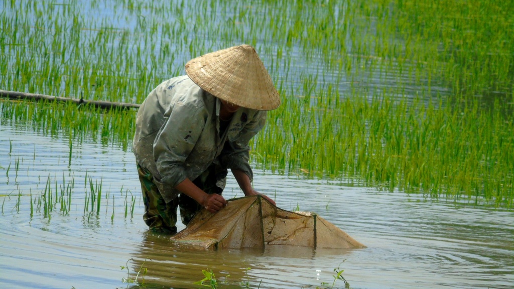 ha tinh sau bao dan do xo vuot lu cang luoi don loc troi