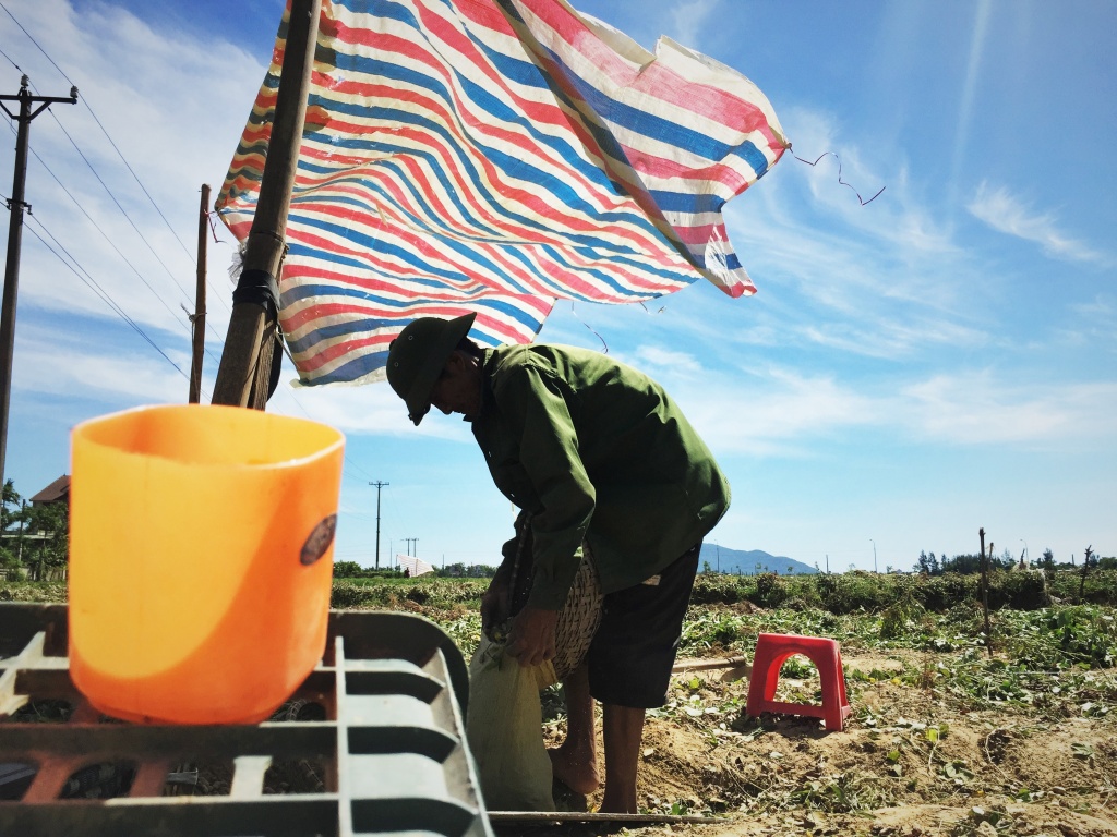 nong dan ha tinh vat lon duoi cai nang 40 do
