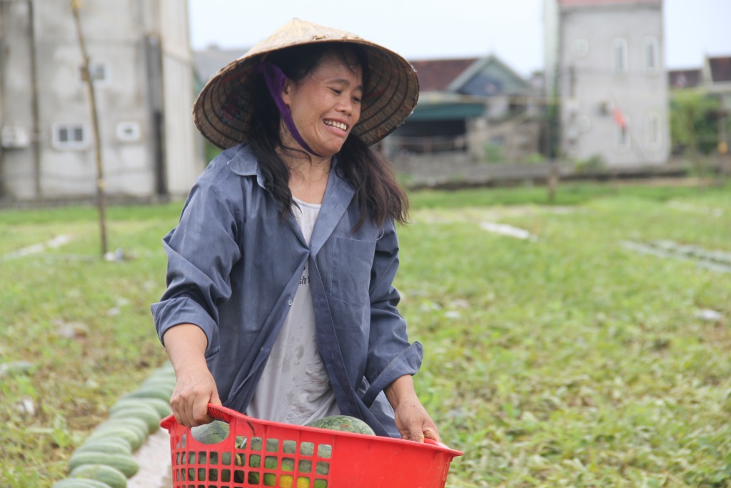 dua hau thoi rua sau mua lu nong dan bat luc vot bo cho bo an
