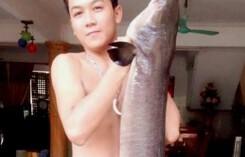 Ngư dân bắt được cá lệch 'khủng' dài 2m trên sông Lam