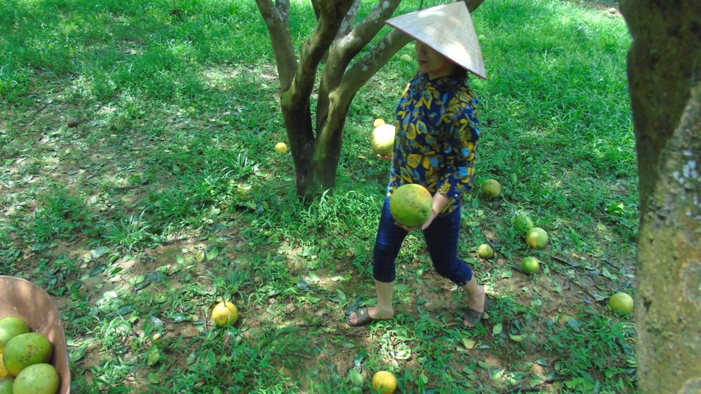 bao di qua nguoi dan nuot nuoc mat nhin hang van qua buoi phuc trach rung ta toi