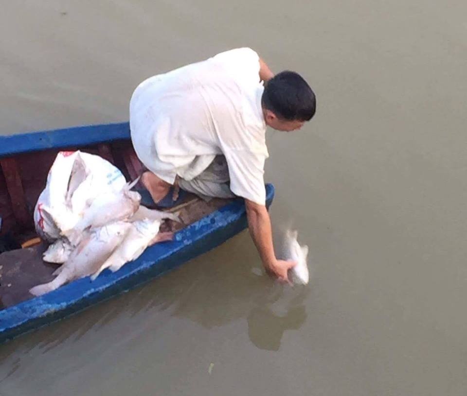 nghe an ca chet noi trang song hoang mai