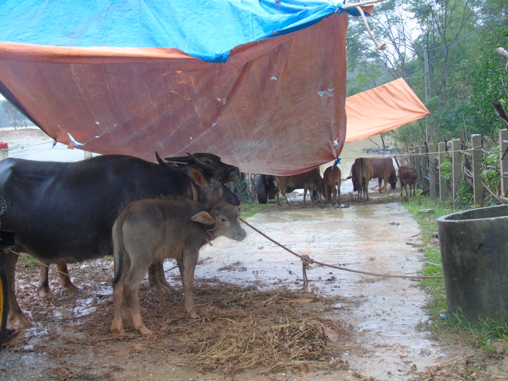 lu kep hon 18 nghin ho dan bi nuoc lu co lap 7 nguoi chet