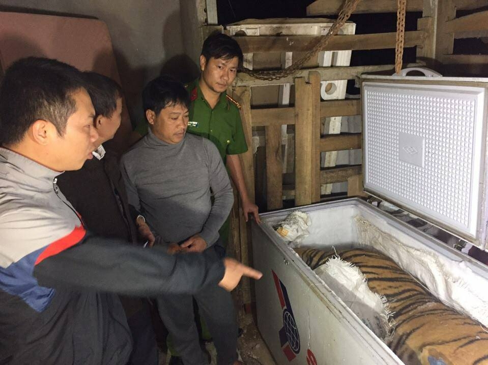 ha tinh phat hien thu giu mot ca the ho dong lanh nang 100kg tai nha dan