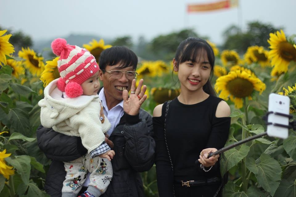 khong khi nhon nhip trong ngay le hoi hoa huong duong