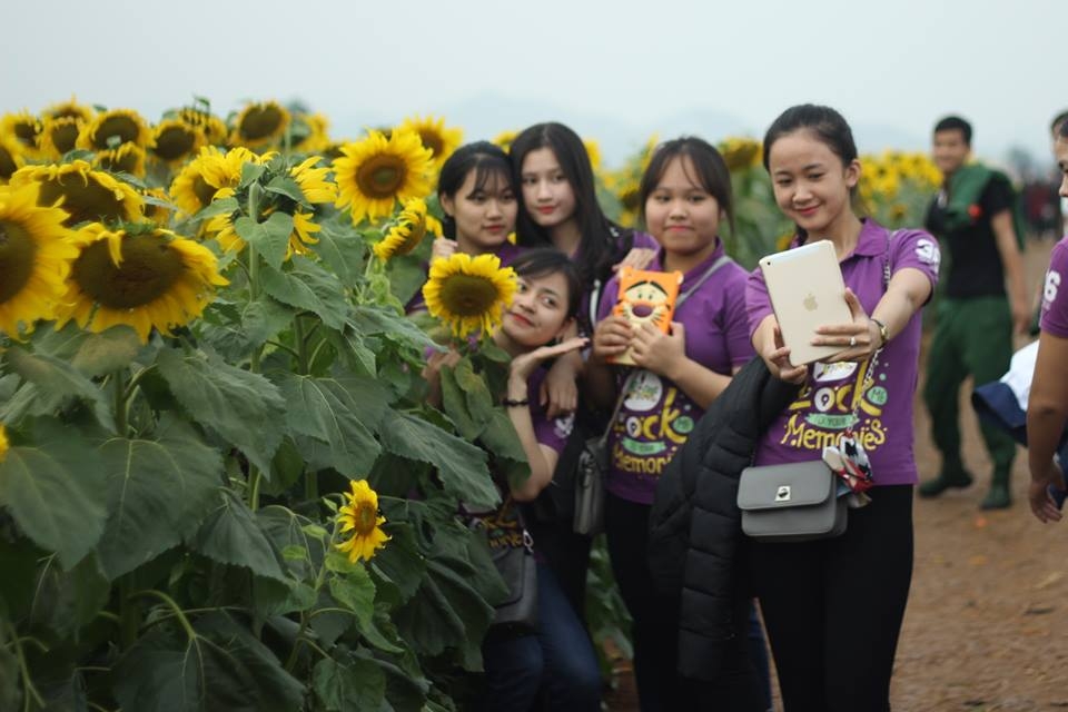 khong khi nhon nhip trong ngay le hoi hoa huong duong